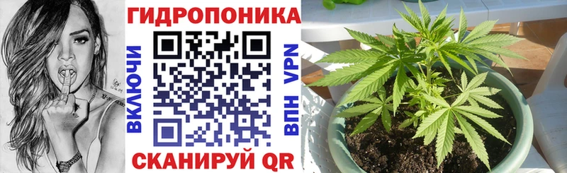 Каннабис ГИДРОПОН  Купить закладки  Николаевск-на-Амуре 